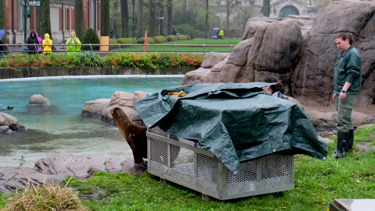 The Zoo