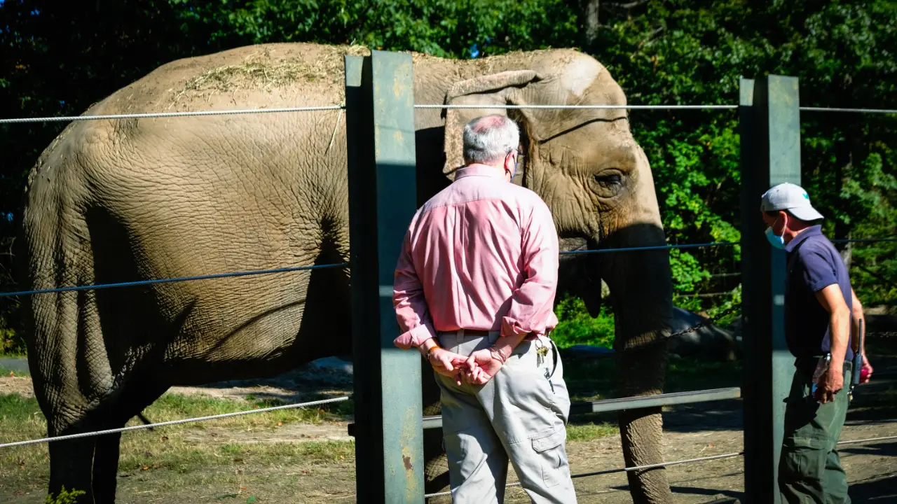 Animal Planet - The Zoo