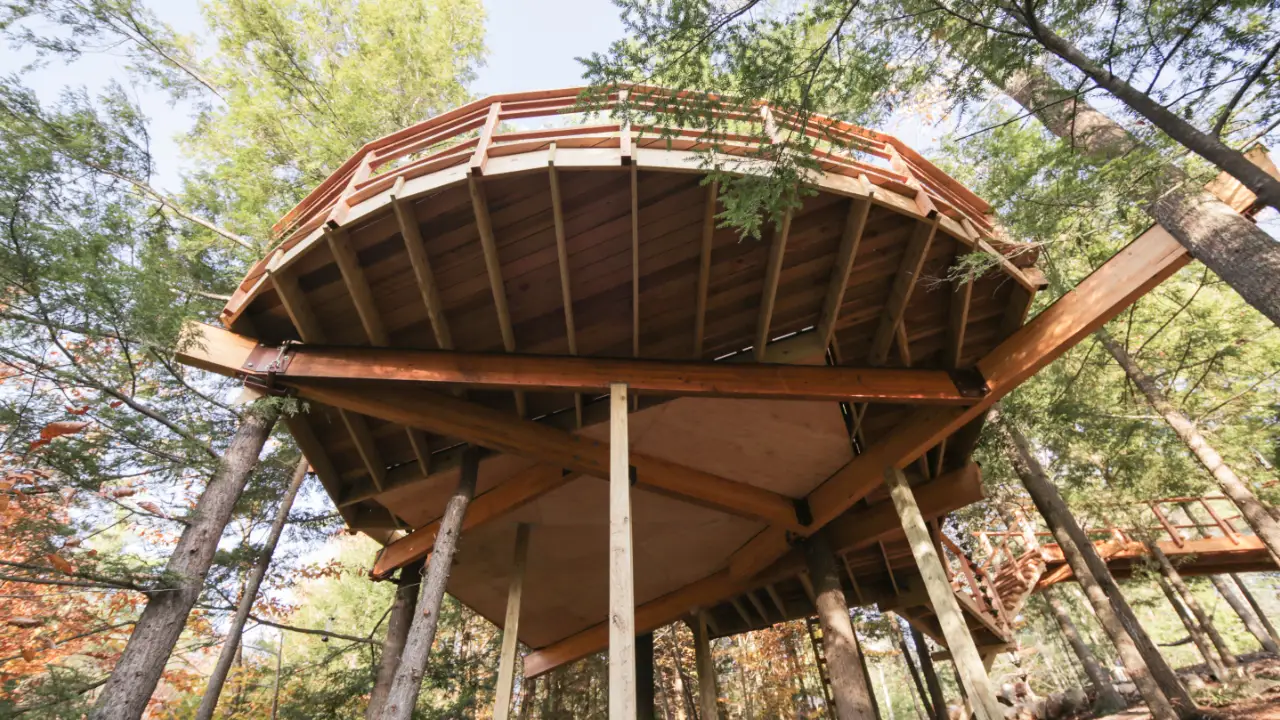 Animal Planet - Treehouse Masters