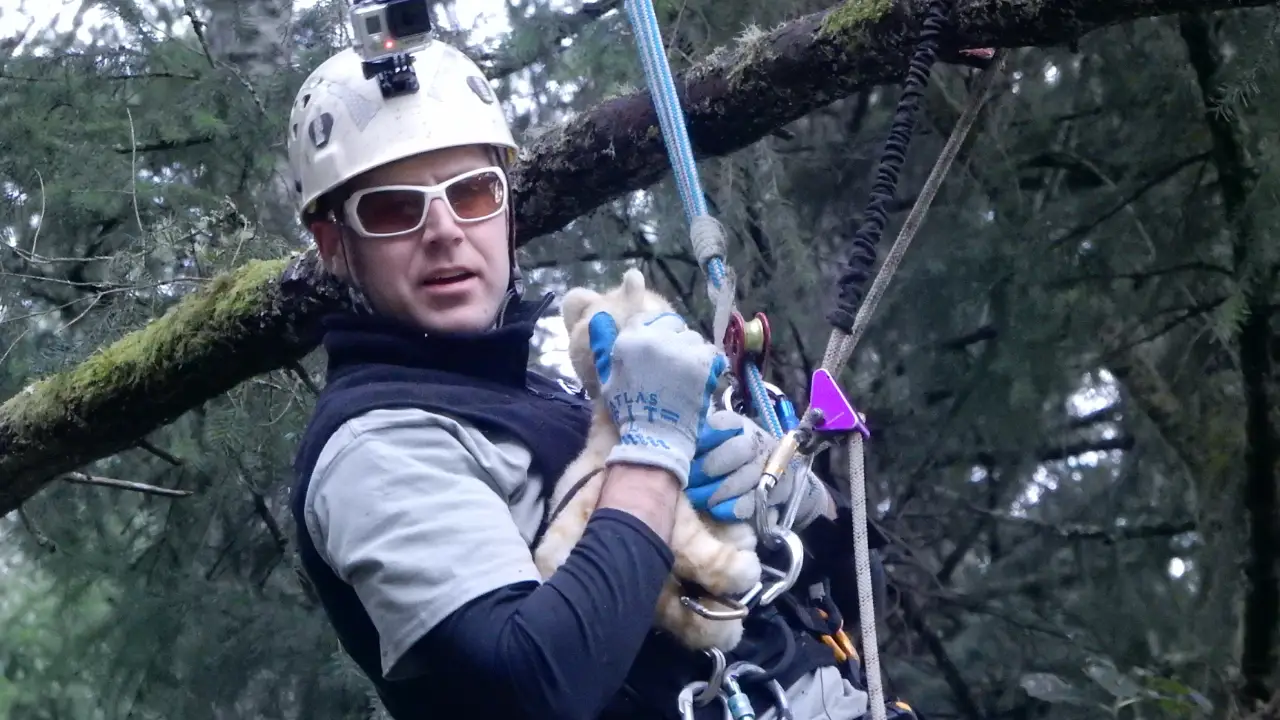 Animal Planet - Treetop Cat Rescue