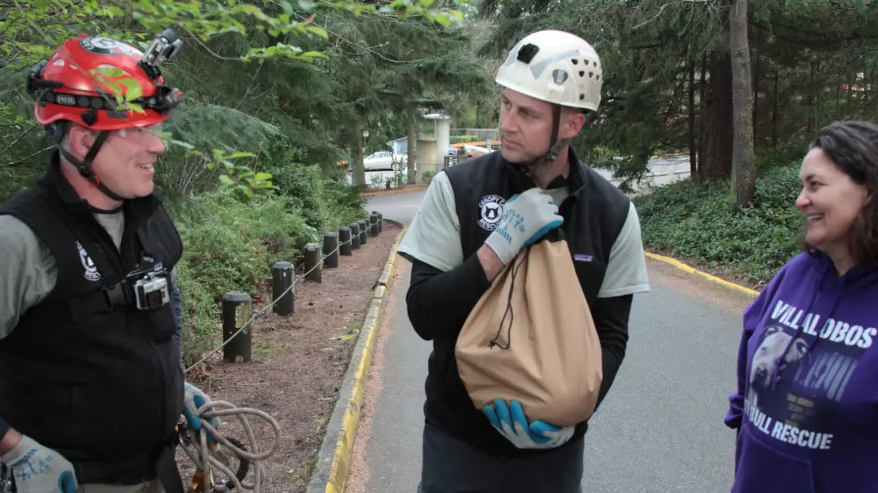 Animal Planet - Treetop Cat Rescue