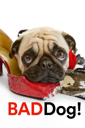 Bild från filmen Bad Dog