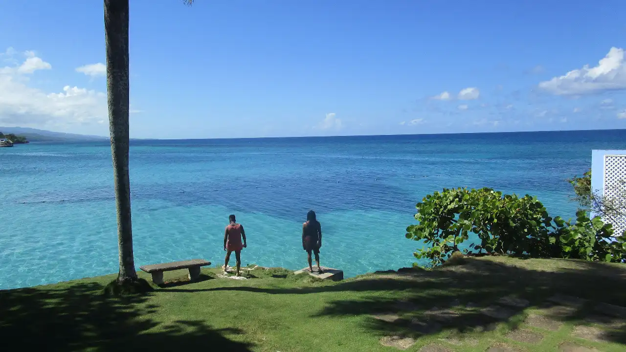 TV 11 - Caribbean Life
