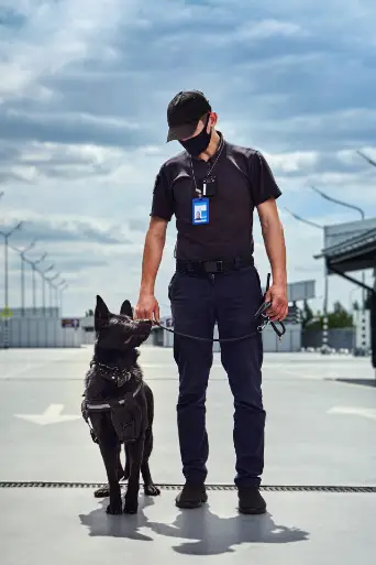 Bild från filmen Airport Security Denmark