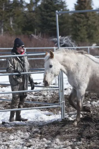 Bild från filmen Alaska: The Last Frontier