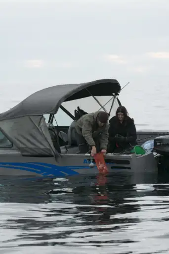 Bild från filmen Alaska: The Last Frontier