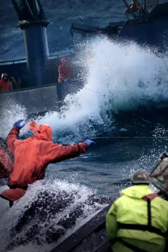 Bild från filmen Deadliest Catch