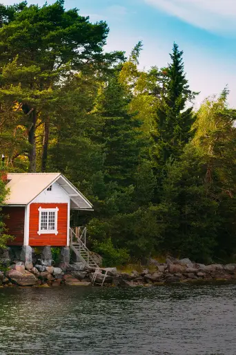Bild från filmen Maine Cabin Masters