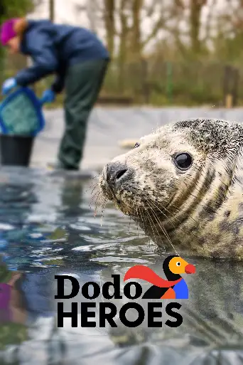 Bild från filmen Dodo Heroes