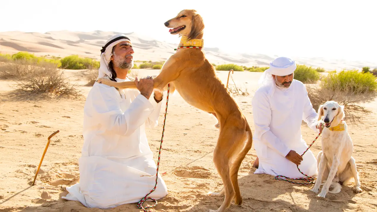 Animal Planet - Dogs: The Untold Story