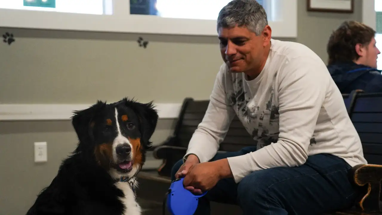Animal Planet - Dr. Jeff: Rocky Mountain Vet