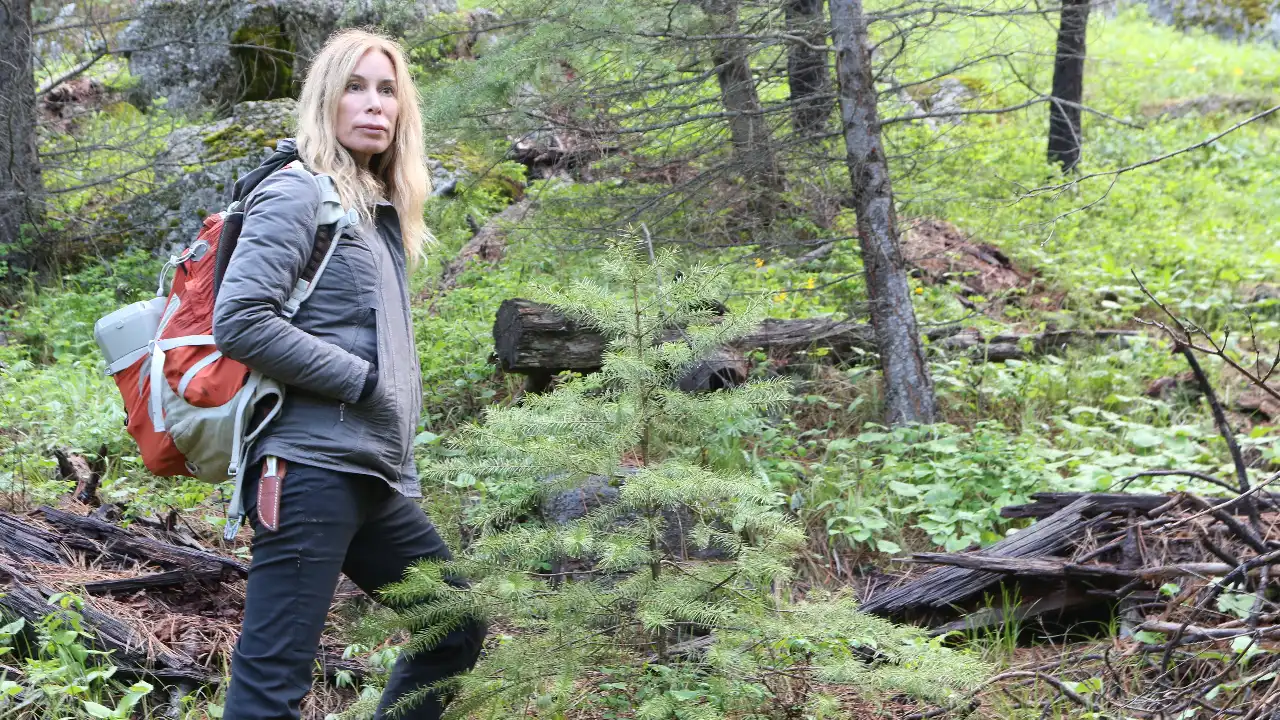 Animal Planet - Expedition Bigfoot