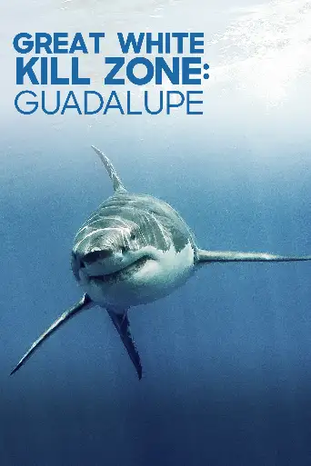 Bild från filmen Guadalupe Kill Zone