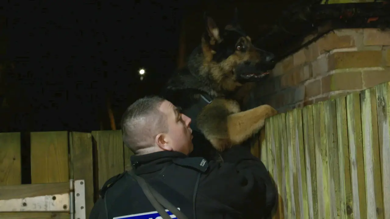 Investigation Discovery - Dog Detectives