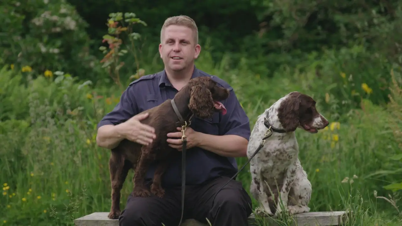 Dog Detectives