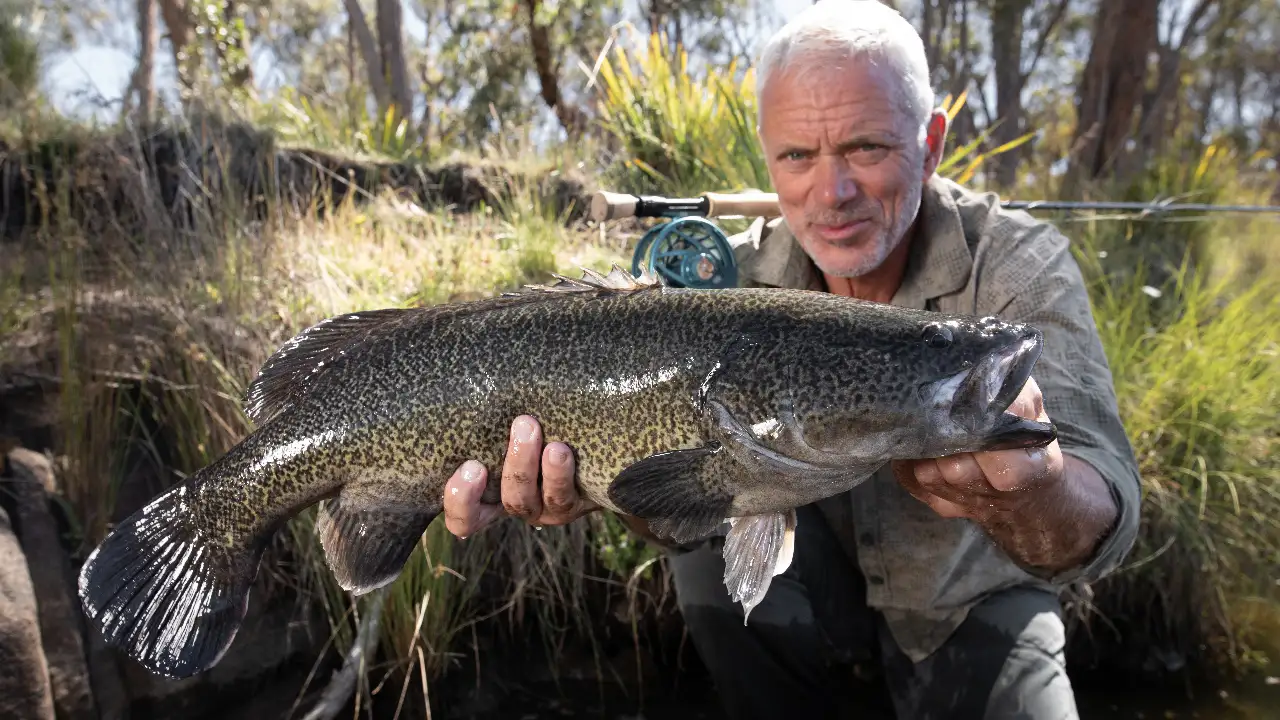 Animal Planet - Jeremy Wade's Dark Waters