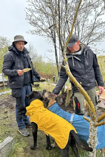 Bild från filmen Stugdrömmar