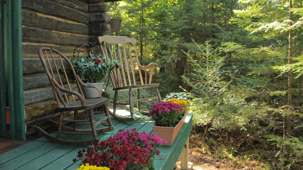 Maine Cabin Masters