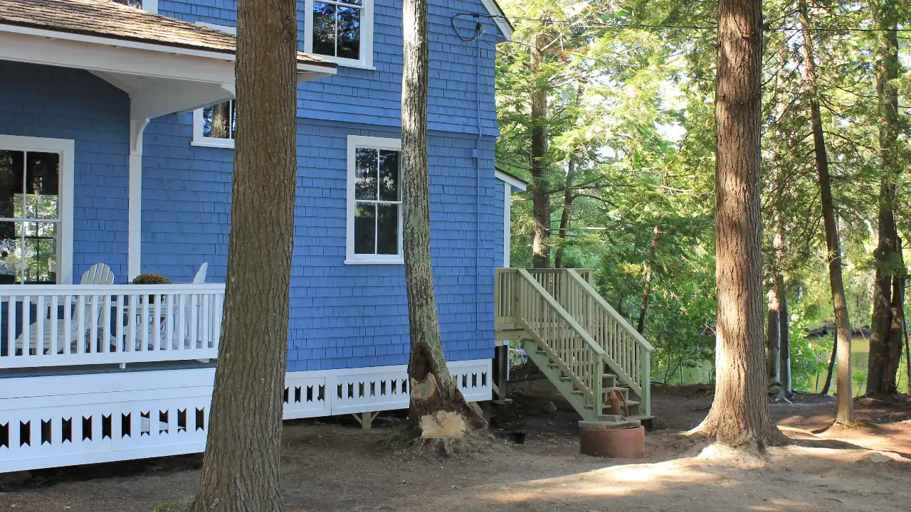 Maine Cabin Masters