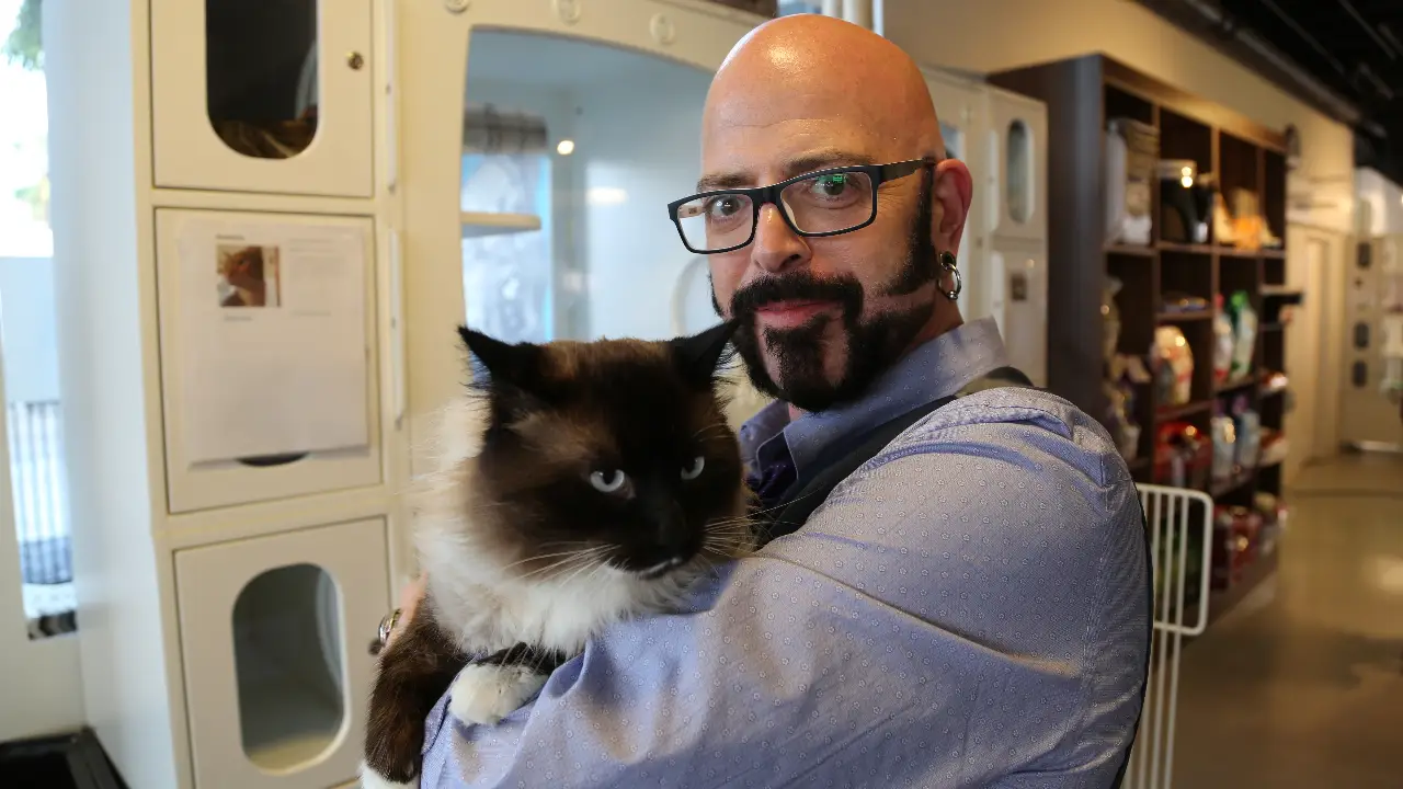 Animal Planet - My Cat From Hell