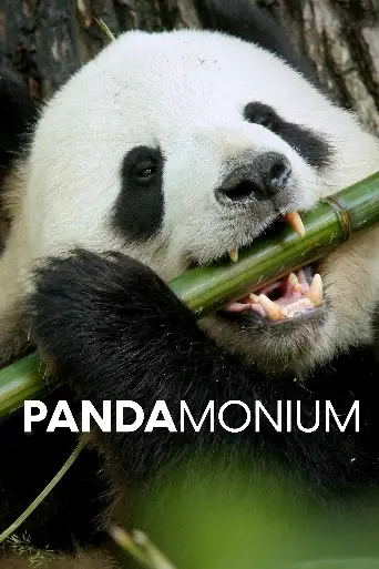 Bild från filmen Pandamonium
