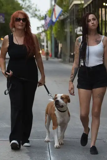 Bild från filmen Pit Bulls & Parolees