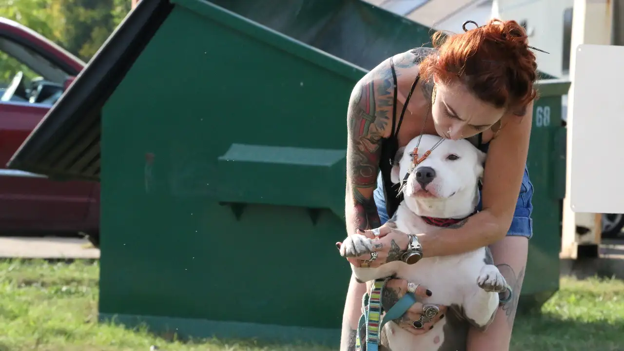 Pit Bulls & Parolees
