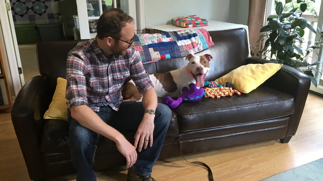 Animal Planet - Pit Bulls & Parolees