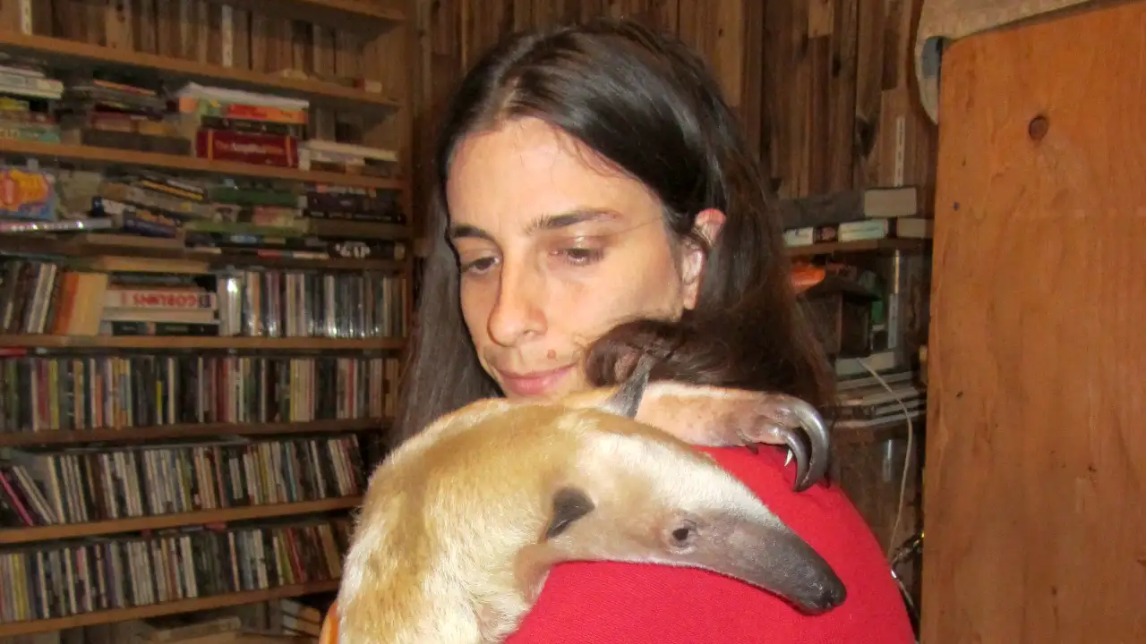 Preposterous Pets