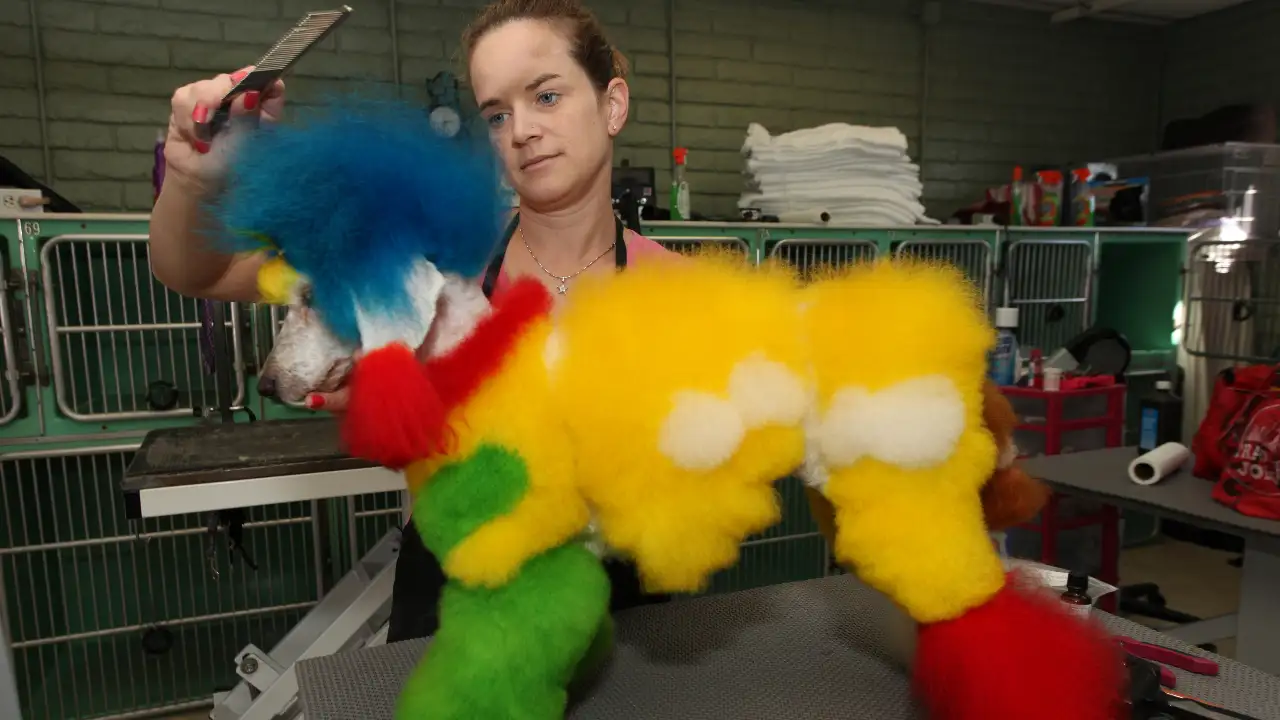 Animal Planet - Preposterous Pets