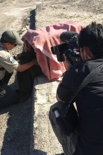 Bild från filmen Rugged Justice