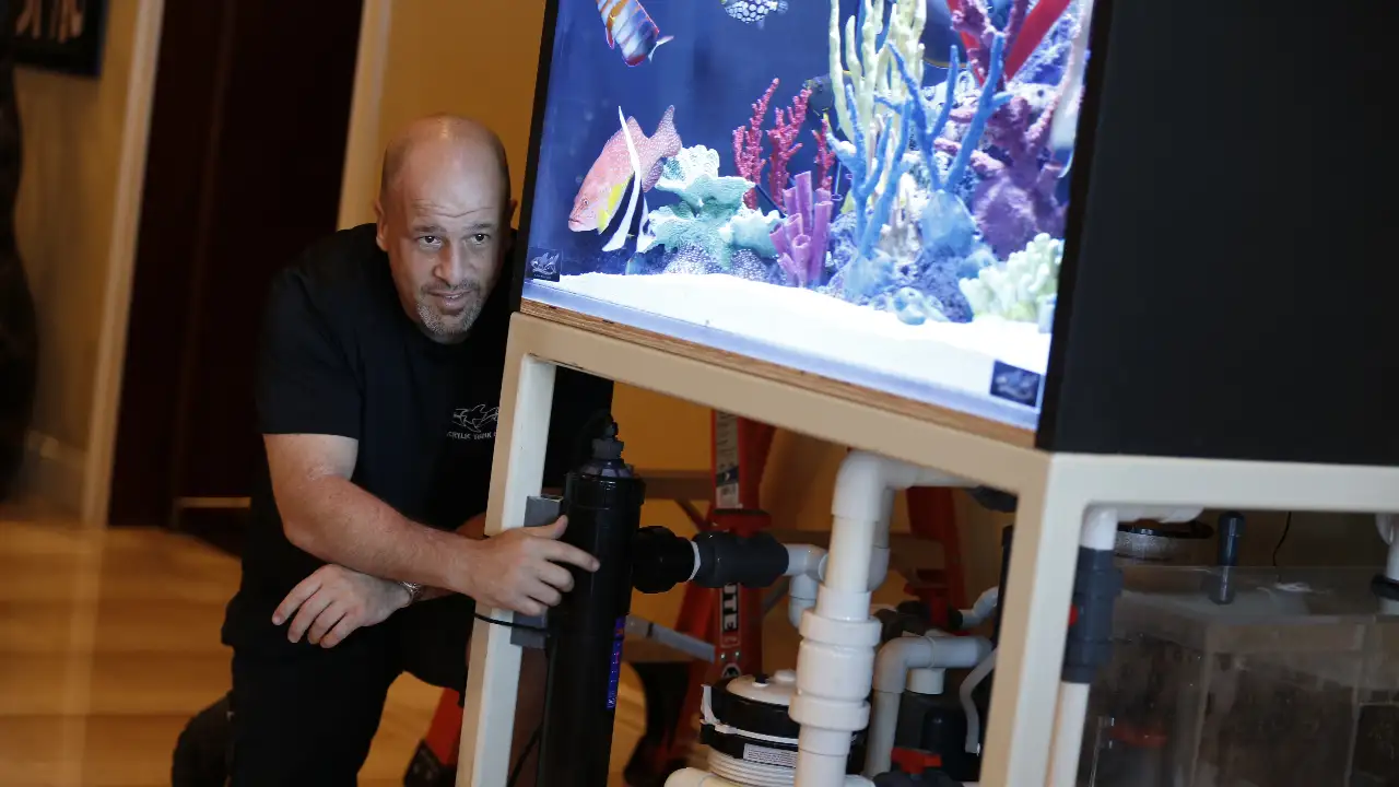 Animal Planet - Tanked