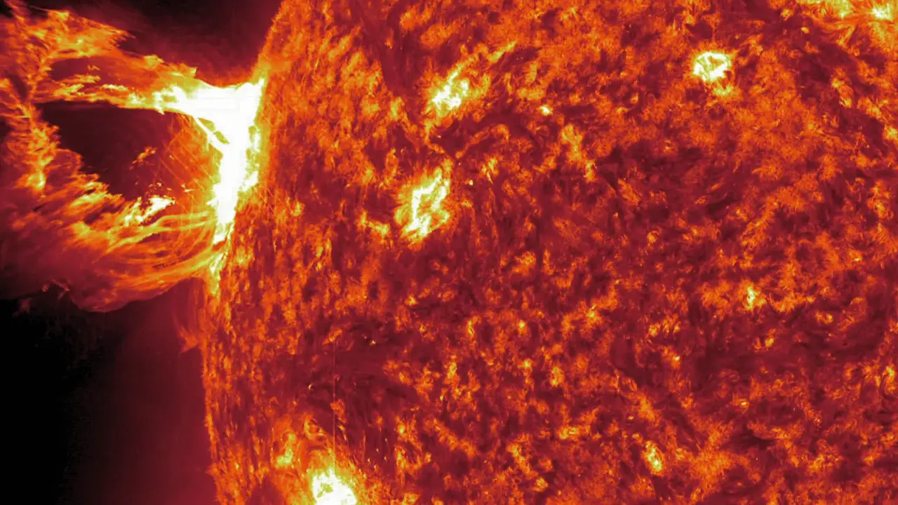 Animal Planet - The Dark Side of the Sun