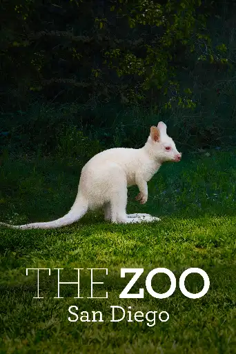 Bild från filmen The Zoo: San Diego