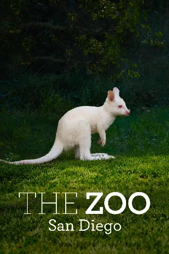 Bild från filmen The Zoo: San Diego