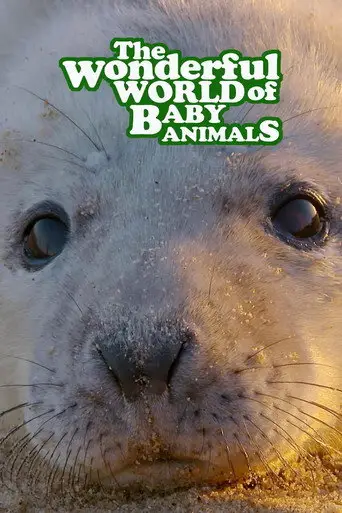 Bild från filmen The Wonderful World of Baby Animals