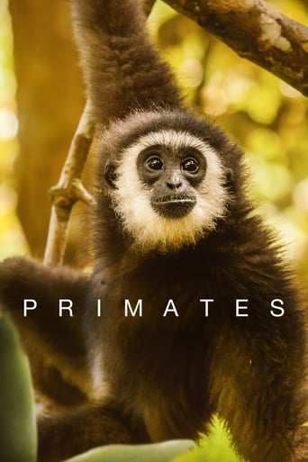 Bild från filmen Primates