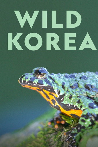Tv-serien: Vilda Korea