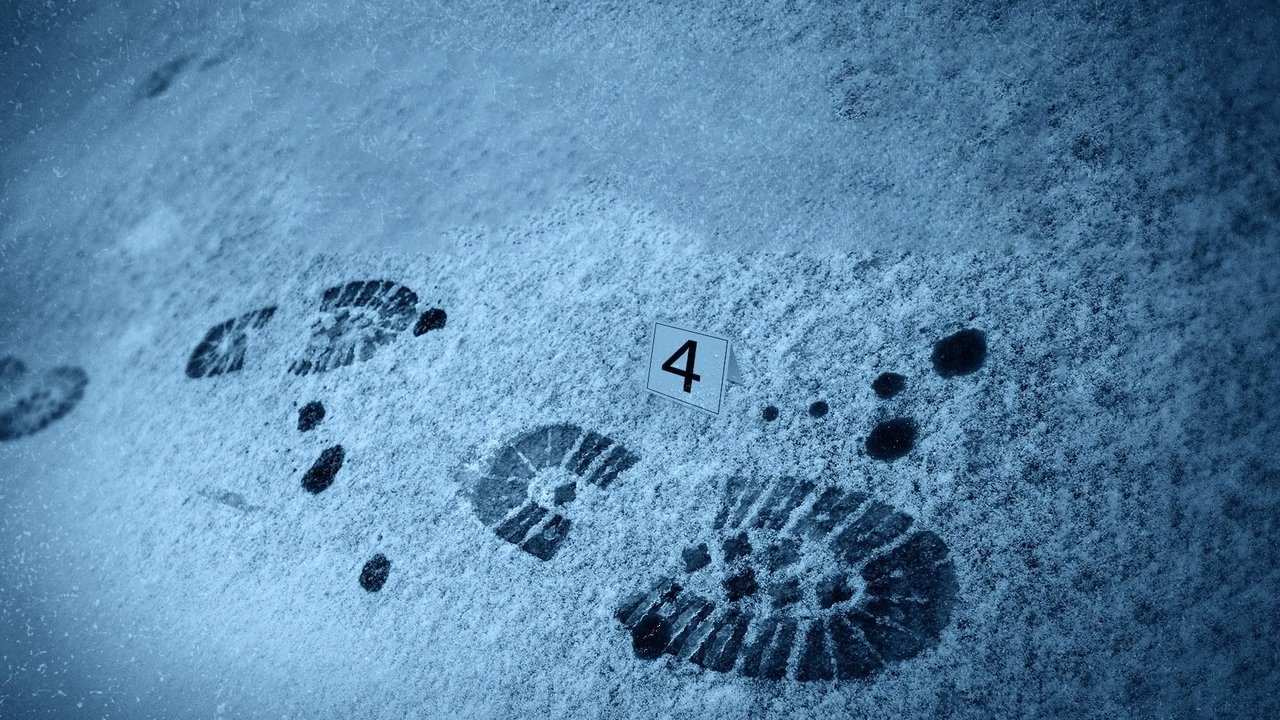 TV3 - Norska fall