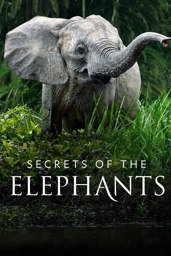 Bild från filmen Secrets of the Elephants