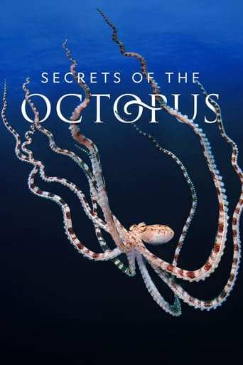 Bild från filmen Secrets of the Octopus
