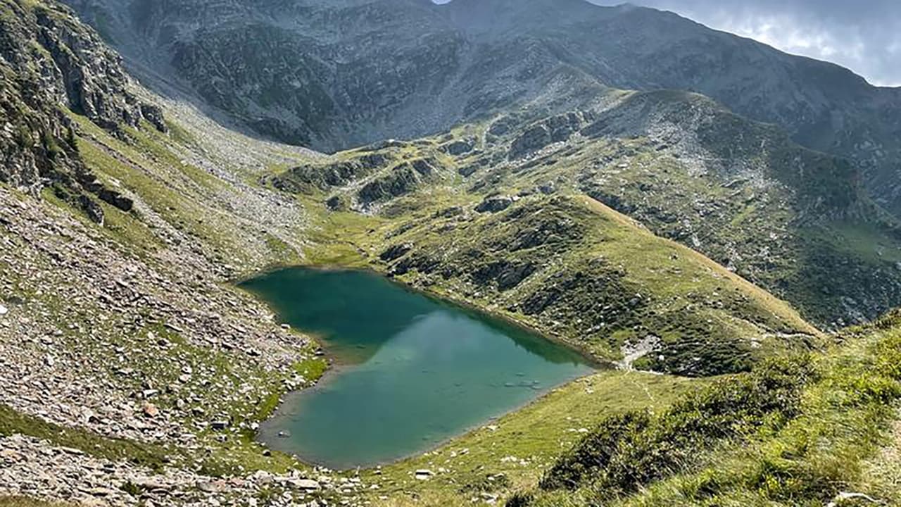 Viasat Nature - Det vilda Schweiz