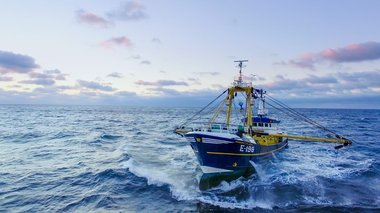 BBC Nordic - Trawlermen: Hunting the Catch