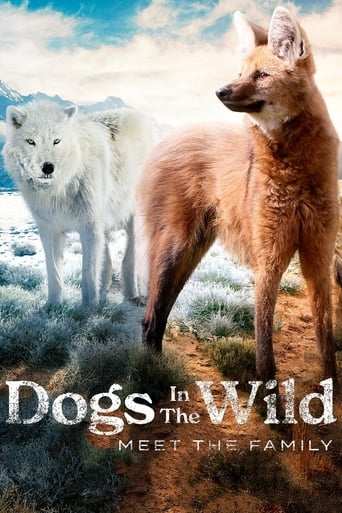 Bild från filmen Dogs in the Wild: Meet the Family