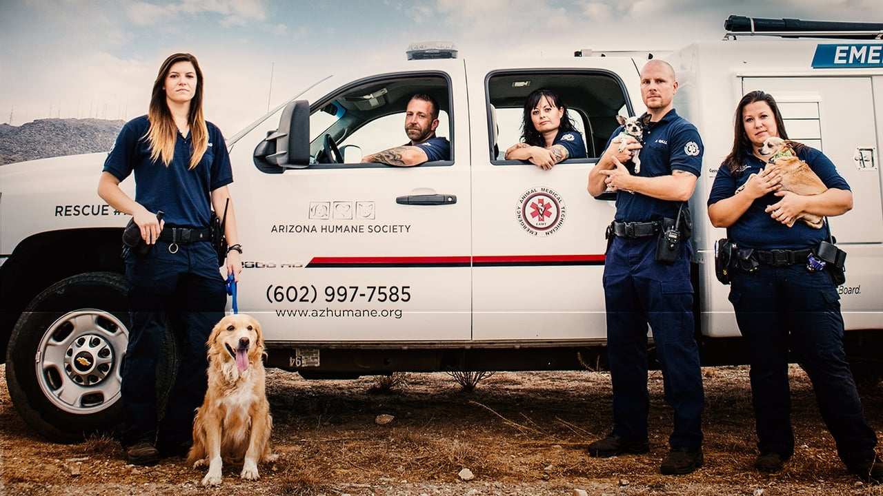 Animal Planet - Animal Cops: Phoenix