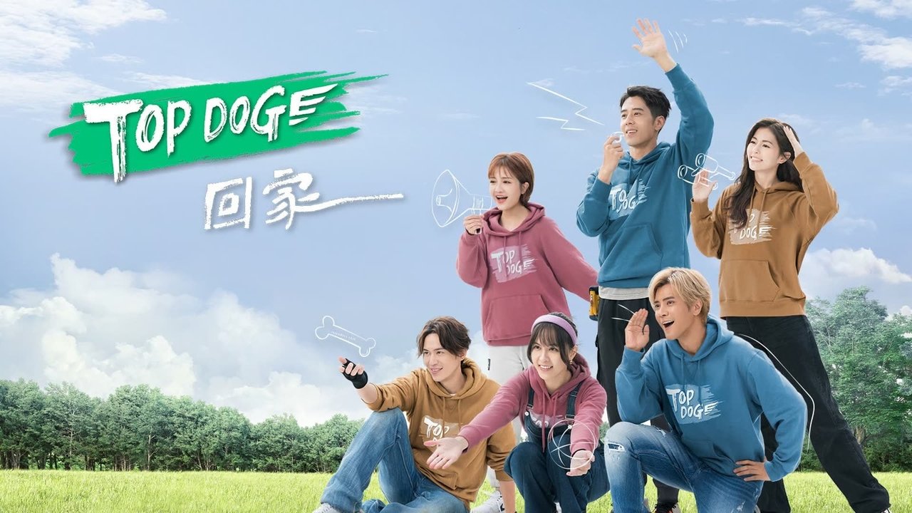 TV4 Stars - Top dog