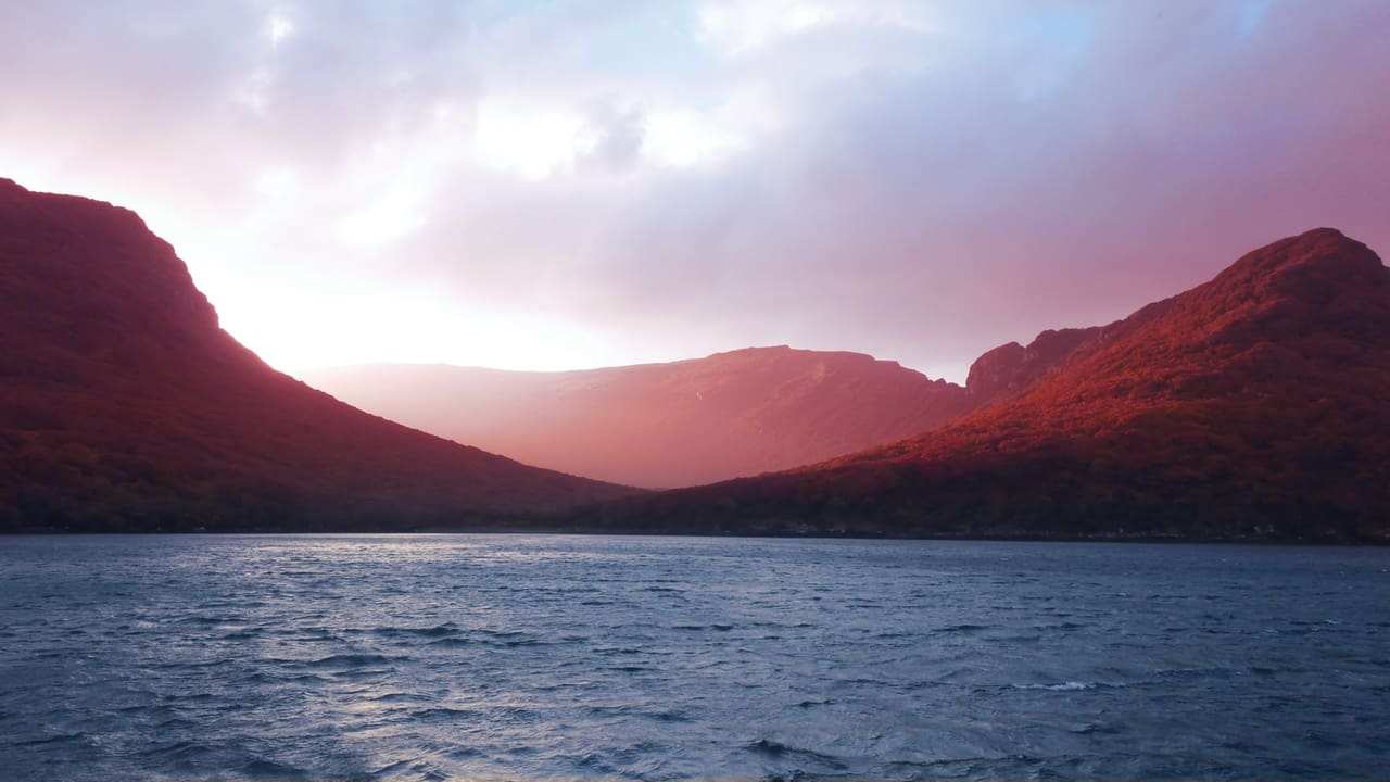 Viasat Nature - Skuggornas land