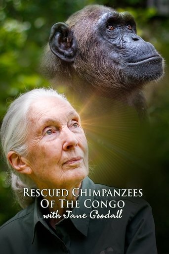 Tv-serien: Räddade schimpanser i Kongo med Jane Goodall