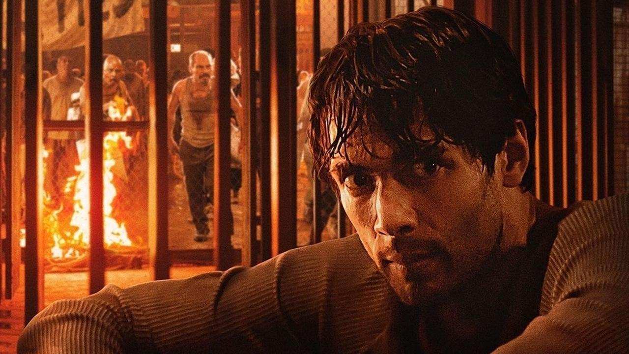 Cell 211