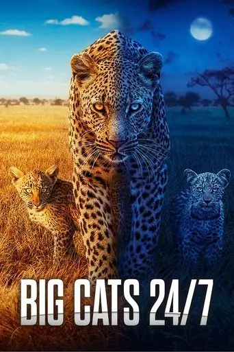 Bild från filmen Big Cats 24/7
